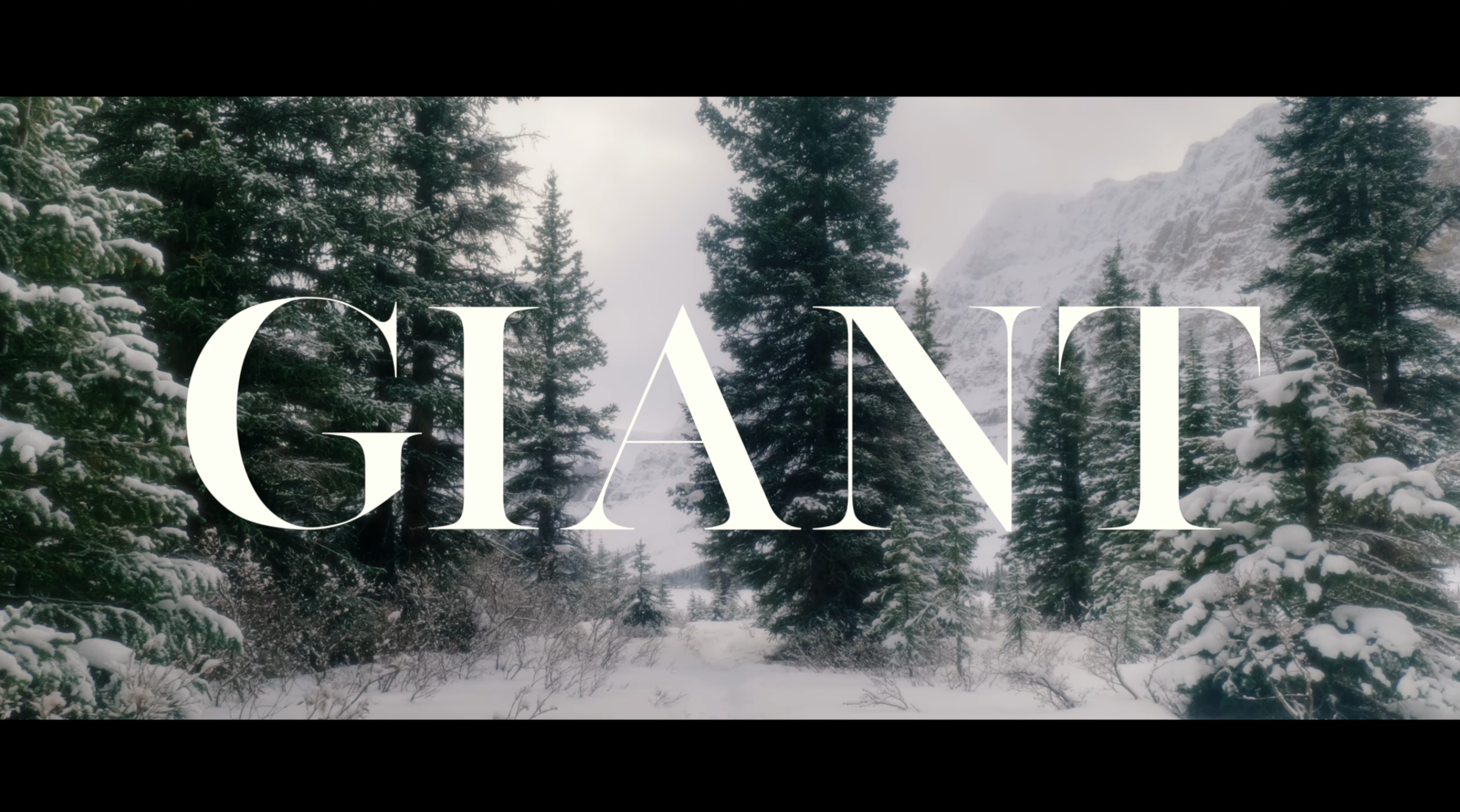 giant 영상 미리보기